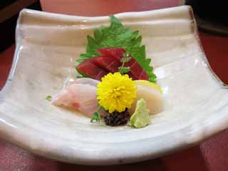 Foto, materiell, befreit, Landschaft, Bild, hat Foto auf Lager,Sashimi, Japanisches Essen, Chrysantheme, Tunfisch, Kammmuscheladduktormuskel