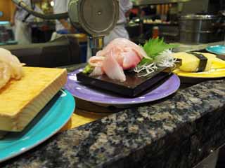 fotografia, material, livra, ajardine, imagine, proveja fotografia,Sushi de cinto-transportador, Sashimi, , Rabanete japons, Wasabi