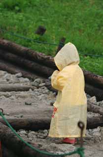 photo,material,free,landscape,picture,stock photo,Creative Commons,Little pilgrim, child, rain coat, mountain trail, prayer