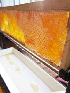 , , , , ,  .,hive, , , hive, Honeycomb
