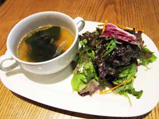 photo,material,free,landscape,picture,stock photo,Creative Commons,Seaweed soup, Seaweed, , lettuce, Salad