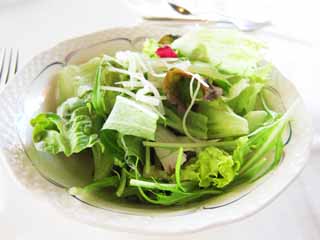 , , , , ,  .,Salad, lettuce, Potherb , , Salad