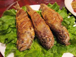 , , , , ,  .,-fried  mackerel, , , , 