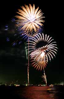 photo,material,free,landscape,picture,stock photo,Creative Commons,Tokyo Bay Great Fireworks, firework, night, launch, one-foot firework ball
