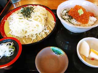 ,,, ,,,  udon    ., ., ., , 