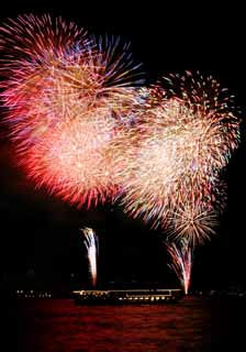 photo,material,free,landscape,picture,stock photo,Creative Commons,Tokyo Bay Great Fireworks, firework, night, launch, one-foot firework ball