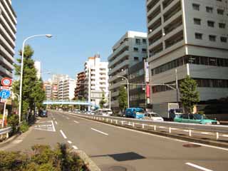 fotografia, material, livra, ajardine, imagine, proveja fotografia,De acordo com Komazawa, estrada, Nakameguro, Um viaduto, 