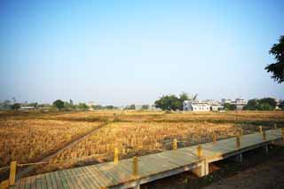 Foto, materieel, vrij, landschap, schilderstuk, bevoorraden foto,Zi Li Cun, Rijst veld, Landgoed dorp, Verheven gebouw, 