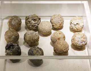 Foto, materiell, befreit, Landschaft, Bild, hat Foto auf Lager,Eine Kugel des Westlichen Han-Museums des Nanyue King Mausoleum Blei, ernst, Begrbnishgelgrab, , Minagoshi-Land