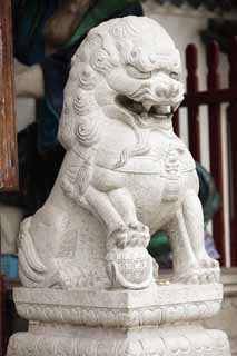 photo,material,free,landscape,picture,stock photo,Creative Commons,Guang Xiao temple pair of stone guardian dogs, Chaitya, Non-existence sheep Castle, last Takashi Arimitsu, , 