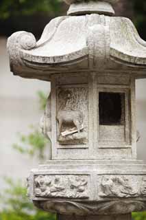 Foto, materieel, vrij, landschap, schilderstuk, bevoorraden foto,Guang Xiao tempel stenige lantaarn mand, Chaitya, Non-bestaan schaap Kasteel, laatste Takashi Arimitsu, , 