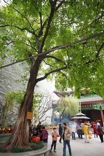 , , , , ,  .,Sixbanyantreetemple linden , Chaitya, , ,  