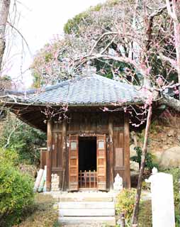 Foto, materiell, befreit, Landschaft, Bild, hat Foto auf Lager,Zuisen-ji Temple Jizo-Schrein, Chaitya, Zen Buddhismus-wie Garten, Kamakura, Literatur der fnf Zentempel