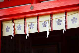 photo, la matire, libre, amnage, dcrivez, photo de la rserve,Un EgaraTenjin-shaShrine temple principal, Temple shintoste, prune, Kamakura, Mettez en colre Tenjin