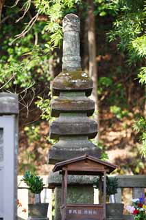 Foto, materieel, vrij, landschap, schilderstuk, bevoorraden foto,Het graf van Yoritomo Minamoto, Graf, Rijs voor de rust van de geesten uit, Kamakura, Daling van een paard