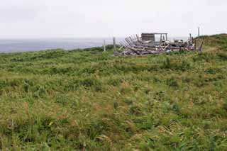 fotografia, materiale, libero il panorama, dipinga, fotografia di scorta,Casa rovinata nella fine settentrionale, casa abbandonata, desolato, pauroso, 