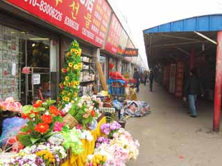 Foto, materieel, vrij, landschap, schilderstuk, bevoorraden foto,Een markt, Markt, Een kunstmatige bloem, , 