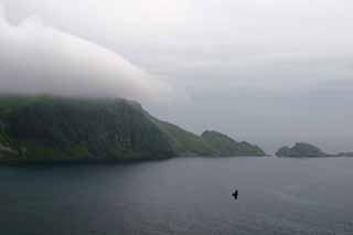 photo,material,free,landscape,picture,stock photo,Creative Commons,Hill covered with cloud, coast, cloud, sky, sea