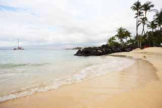 fotografia, materiale, libero il panorama, dipinga, fotografia di scorta,Una spiaggia privata, spiaggia sabbiosa, albero di palme, onda, yacht