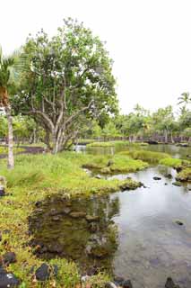 Foto, materiell, befreit, Landschaft, Bild, hat Foto auf Lager,MaunaLani angelt Pfund, Lava, Ein Altar, Teich, Fischereizone