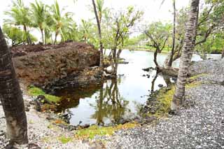 fotografia, material, livra, ajardine, imagine, proveja fotografia,MaunaLani pescam libra, Lava, Um altar, lagoa, Pesca