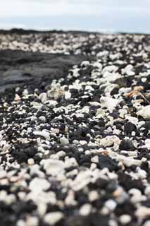 Foto, materiell, befreit, Landschaft, Bild, hat Foto auf Lager,Wei und die Schwarzen strzten ab, Lava, Handflche, Welle, sdliches Land