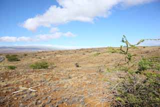 fotografia, materiale, libero il panorama, dipinga, fotografia di scorta,La terra del lavico, Green, Castano, Lavico, cielo blu