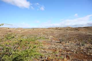 photo,material,free,landscape,picture,stock photo,Creative Commons,The earth of the lava, Green, Brown, Lava, blue sky