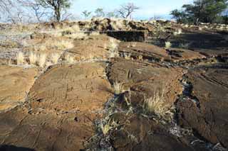 Foto, materieel, vrij, landschap, schilderstuk, bevoorraden foto,Puako Petroglyph, Lava, Sluit kunst, Petroglyph, Kaha-kii