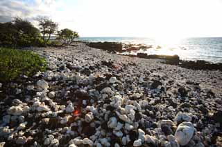 fotografia, materiale, libero il panorama, dipinga, fotografia di scorta,Bianco e la spiaggia nera, Lavico, Corallo, onda, paese meridionale