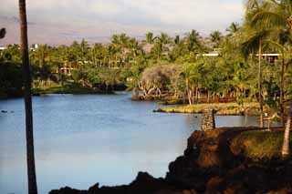 photo,material,free,landscape,picture,stock photo,Creative Commons,MaunaLani fish pound, Lava, An altar, pond, Fishery