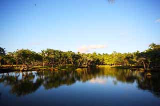 foto,tela,gratis,paisaje,fotografa,idea,MaunaLani de sitio de poder, Lava, Un altar, Laguna, Pesquera