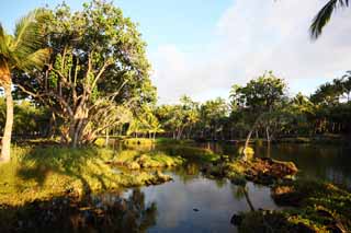 Foto, materiell, befreit, Landschaft, Bild, hat Foto auf Lager,MaunaLani angelt Pfund, Lava, Ein Altar, Teich, Fischereizone