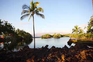 Foto, materiell, befreit, Landschaft, Bild, hat Foto auf Lager,MaunaLani angelt Pfund, Lava, Ein Altar, Teich, Fischereizone