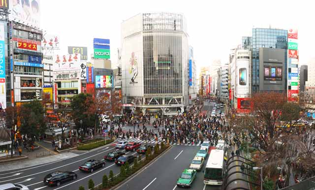 , , , , ,  .,Shibuya  , , walker, , signboard