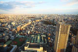 fotografia, material, livra, ajardine, imagine, proveja fotografia,Panorama de Tquio, construindo, rvore de cu, , 