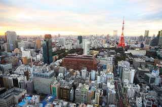 foto,tela,gratis,paisaje,fotografa,idea,Panorama de Tokio, Edificio, La rea del centro de la ciudad, Tokyo Tower, Toranomon