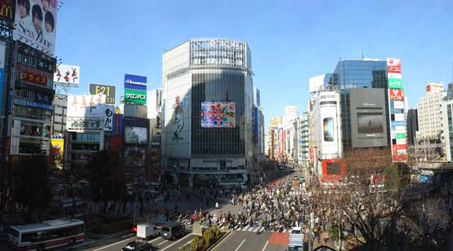 , , , , ,  .,Shibuya  , , walker, , signboard