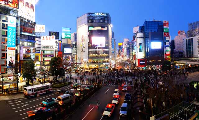 photo, la matire, libre, amnage, dcrivez, photo de la rserve,Shibuya intersection libre, foule, marcheur, autobus, enseigne