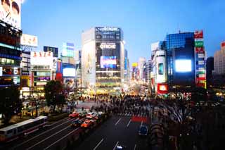 Foto, materieel, vrij, landschap, schilderstuk, bevoorraden foto,Shibuya vrijje kruising, Menigte, Walker, Autobus, Neon