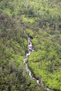 Foto, materieel, vrij, landschap, schilderstuk, bevoorraden foto,Hawaii Eiland waterval, Het woud, Rots, Rivier, Loop