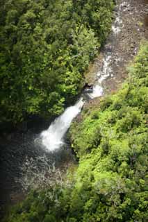 foto,tela,gratis,paisaje,fotografa,idea,Cascada de Hawaii, El bosque, Roca, Ro, Circulacin