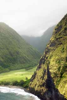 Foto, materieel, vrij, landschap, schilderstuk, bevoorraden foto,Hawaii Island Waimanu Valley, , , , 