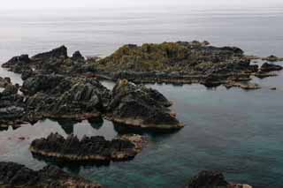 fotografia, materiale, libero il panorama, dipinga, fotografia di scorta,Paradiso di seafowls, costa, rupe, gabbiano, mare