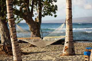 photo,material,free,landscape,picture,stock photo,Creative Commons,Hammock Hawaii Island, , , , 