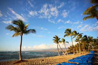 Foto, materieel, vrij, landschap, schilderstuk, bevoorraden foto,Hawaii Island beach, , , , 
