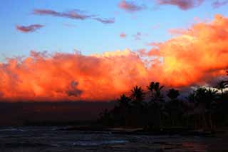 Foto, materieel, vrij, landschap, schilderstuk, bevoorraden foto,Hawaii Island beach, , , , 