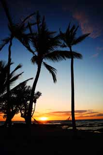 foto,tela,gratis,paisaje,fotografa,idea,La playa de la isla de Hawaii, , , , 