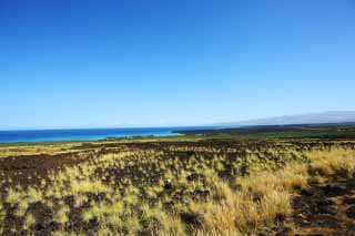 Foto, materieel, vrij, landschap, schilderstuk, bevoorraden foto,Hawaii Island lava plateau, , , , 