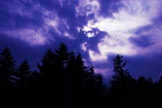 fotografia, materiale, libero il panorama, dipinga, fotografia di scorta,Legno e nube, sole, montagna, cielo, nube